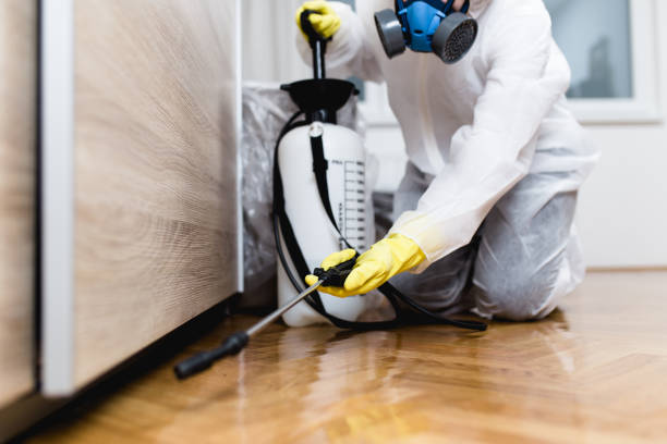 Best Pest Control Near Me in Miamisburg, OH