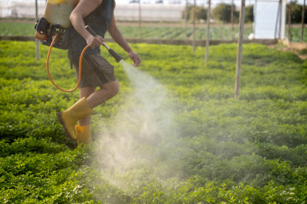 Best Exterminator Services  in Miamisburg, OH