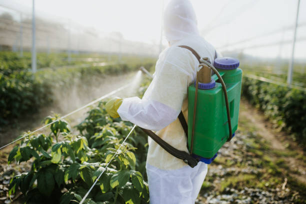 Best Emergency Pest Control  in Miamisburg, OH